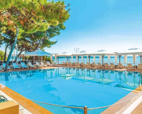 Hotel Punta