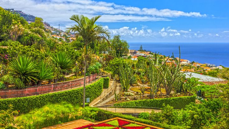 Terrassenförmig angelegter Botanischer Garten Monte auf Madeira mit Palmen, Kakteen, bunten Blumenbeeten und Blick auf den Atlantik sowie die Küste der Insel