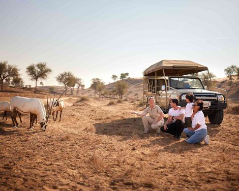 The Ritz-Carlton Ras Al Khaimah, Al Wadi Desert