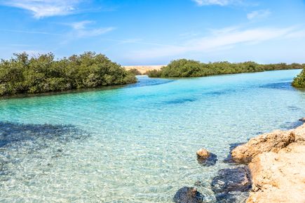 Klares, türkisfarbenes Wasser mit Mangroveninseln im Ras Mohammed Nationalpark unter blauem Himmel