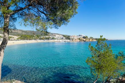 Strand von Magaluf und Palma Nova auf Mallorca mit türkisblauem Wasser, Hotels im Hintergrund und grünen Hügeln
