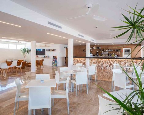 Comitas Isla del Aire