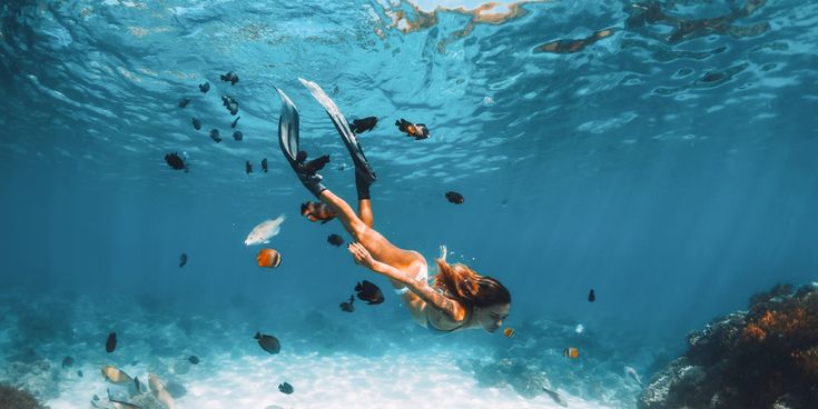 Frau taucht mit Flossen und umgeben von bunten Fischen im klaren Meer
