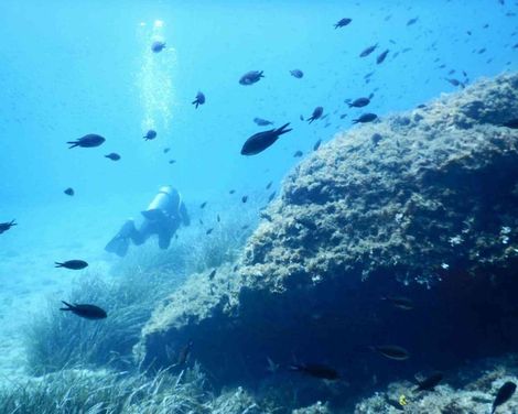 Akrathos Beach Hotel