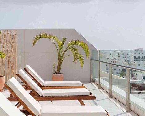 Plus Fariones Habitat