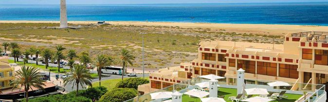 Fergus Cactus Garden