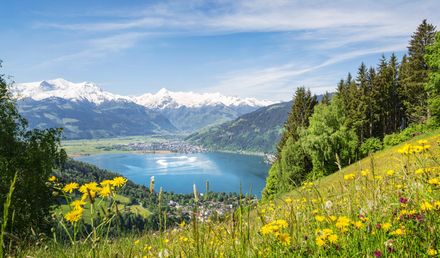 Blick auf Zell am See in Österreich mit klarem Bergsee, Alpenpanorama und blühender Wiesenlandschaft im Vordergrund