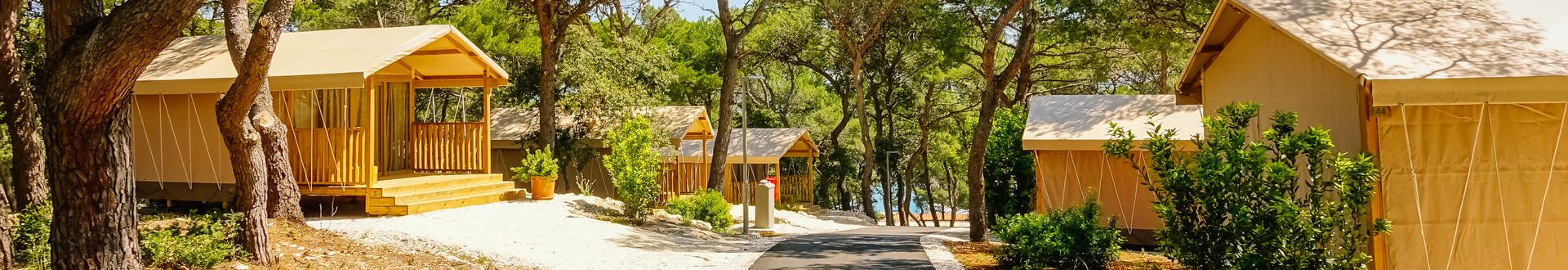 Mehrere Holz-Ferienhäuser in einer von Pinien geprägten Ferienanlage entlang eines Weges, eingebettet in eine naturnahe Umgebung mit mediterraner Vegetation