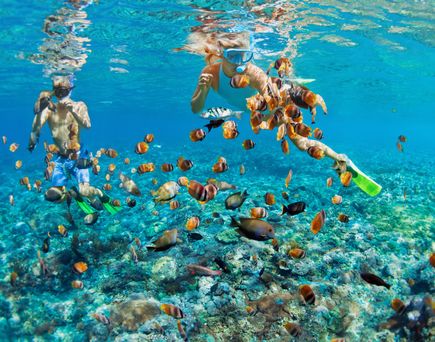 Zwei Kinder schnorcheln im klaren Meerwasser zwischen bunten Fischen und erkunden die Unterwasserwelt im Sommerurlaub
