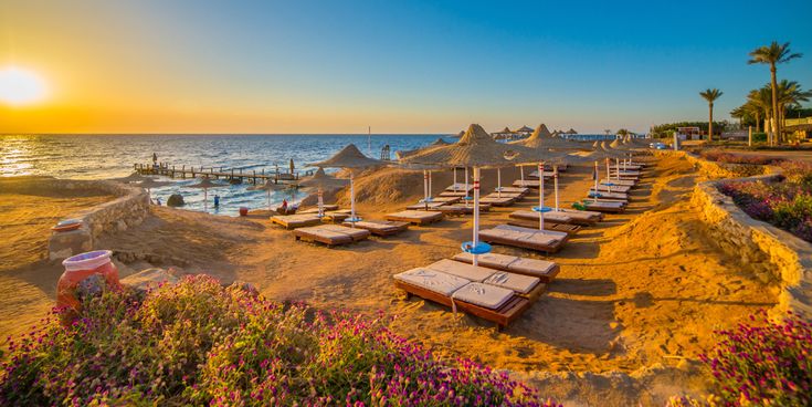Strand in Marsa Alam bei Sonnenuntergang mit Holzstegen, Sonnenliegen, strohgedeckten Sonnenschirmen und blühenden Pflanzen in warmem goldenen Licht