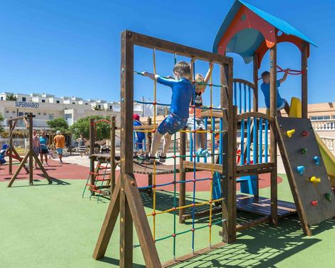 Comitas Isla del Aire