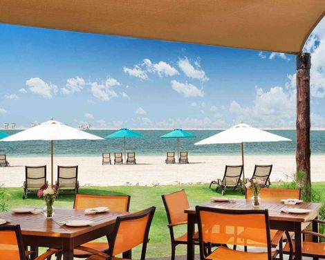 JA Palm Tree Court-2