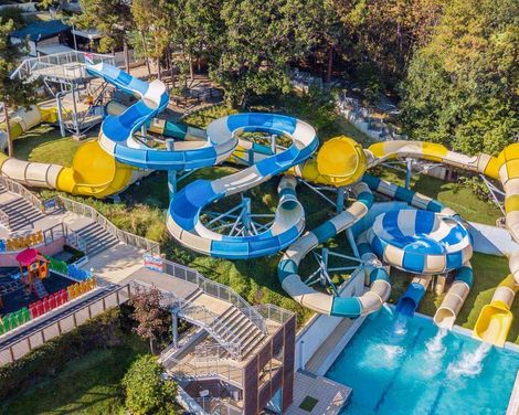 GRIFID Aqua Club Bolero-2