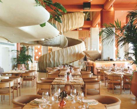 Epidamn White Sensation