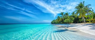 Weißer Sandstrand auf den Malediven mit Palmen, kristallklarem türkisfarbenem Meer und tropischer Inselkulisse unter blauem Himmel