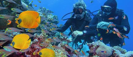 Zwei Taucher in schwarzer Ausrüstung beobachten bunte Fische, darunter gelbe Schmetterlingsfische, vor einem Korallenriff