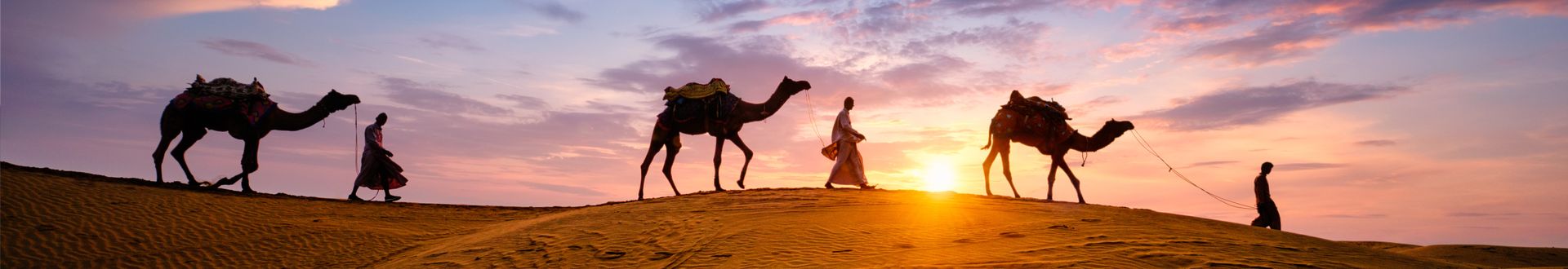 Drei Kamele mit Satteln stehen auf einer Sanddüne bei Sonnenuntergang.