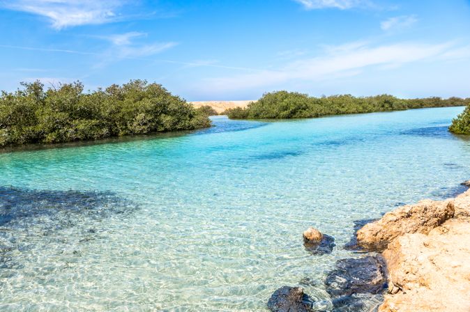 Klares, türkisfarbenes Wasser mit Mangroveninseln im Ras Mohammed Nationalpark unter blauem Himmel