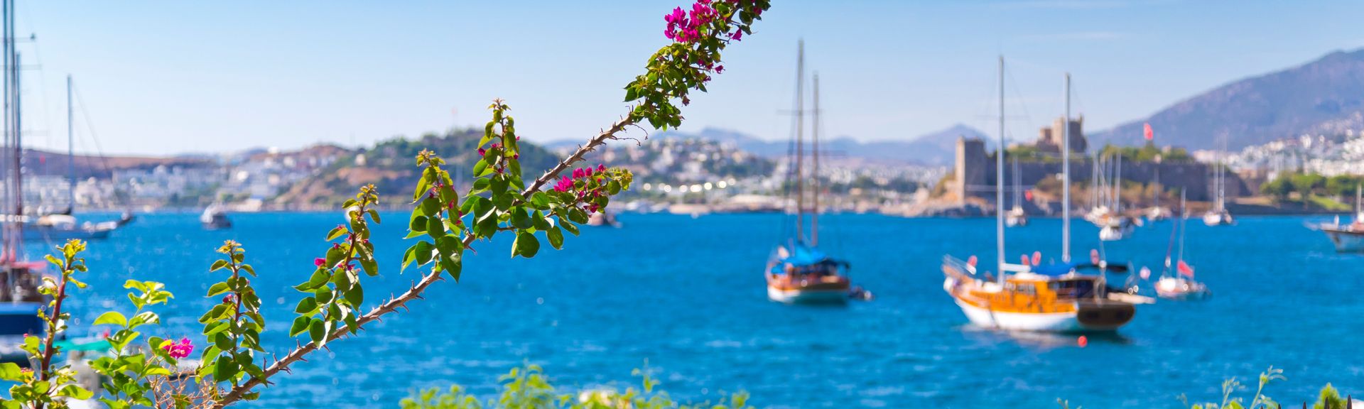 Bougainvillea-Zweig vor türkisblauem Meer mit Segelbooten und der Burg von Bodrum in der Türkei