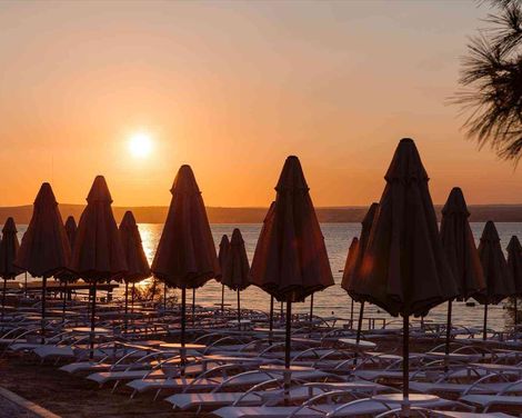 Long Beach Club Nature