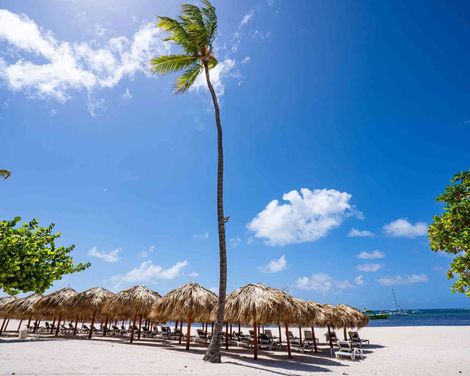Bakour Punta Cana Suites