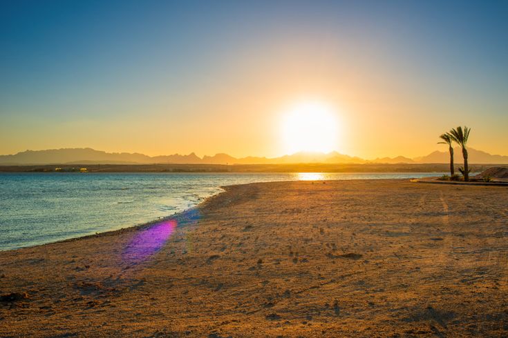 Sonnenuntergang über dem Sandstrand von Sahl Hasheesh am Roten Meer in Hurghada, Ägypten, mit Blick auf die Berge im Hintergrund und einer einzelnen Palme am rechten Bildrand