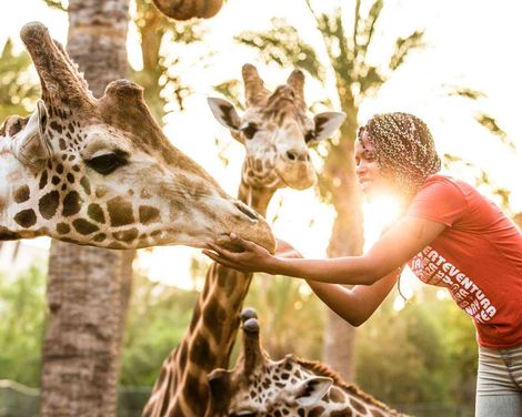 Oasis Wildlife Fuerteventura R2 Pajara Beach