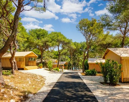 Holz-Ferienhäuser inmitten eines grünen Pinienwaldes mit Weganlage, ideal für naturnahen Urlaub und Erholung