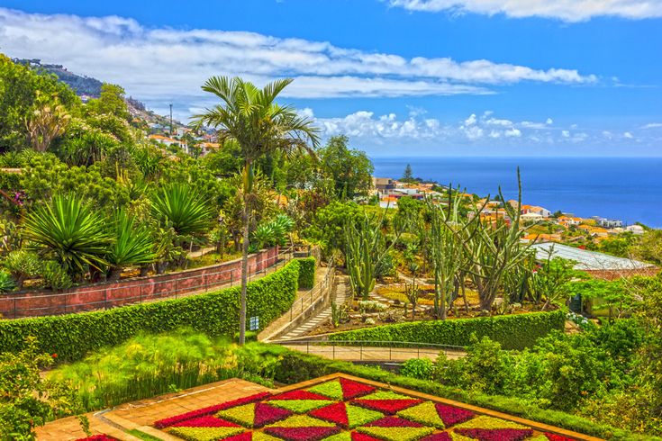 Terrassenförmig angelegter Botanischer Garten Monte auf Madeira mit Palmen, Kakteen, bunten Blumenbeeten und Blick auf den Atlantik sowie die Küste der Insel