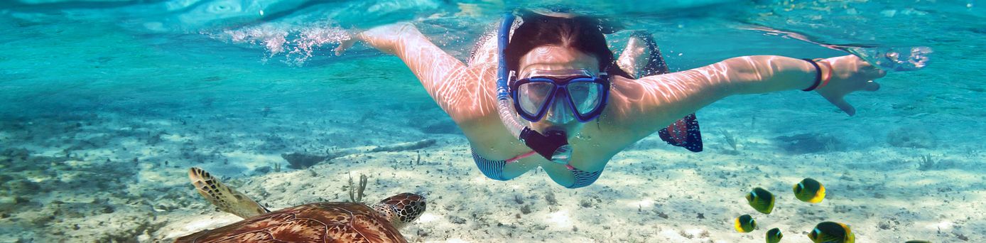 Eine Person schnorchelt im Wasser und schwimmt über den Sandboden. Neben ihr schwimmt eine Meeresschildkröte und bunte Fische sind sichtbar.