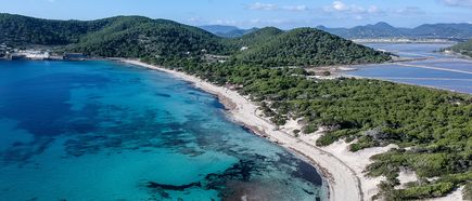 Luftaufnahme des Strandes von Ses Salines auf Ibiza mit türkisblauem Wasser und grünen Pinienwäldern