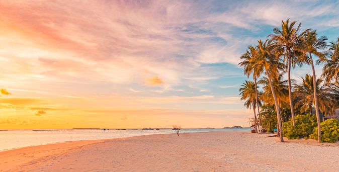 Strand mit feinem Sand und Palmen am rechten Rand, ruhiges Meer und Sonnenuntergang mit orangefarbenem Himmel in der Karibik.