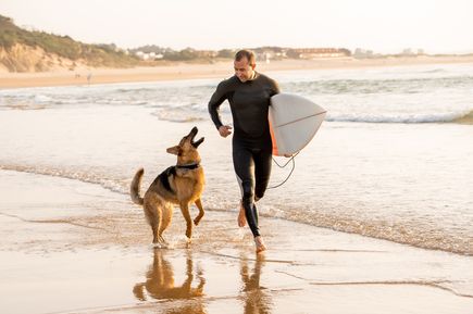 Mann im Neoprenanzug läuft am Meeresstrand mit einem Surfboard unter dem Arm, begleitet von einem Hund im flachen Wasser.