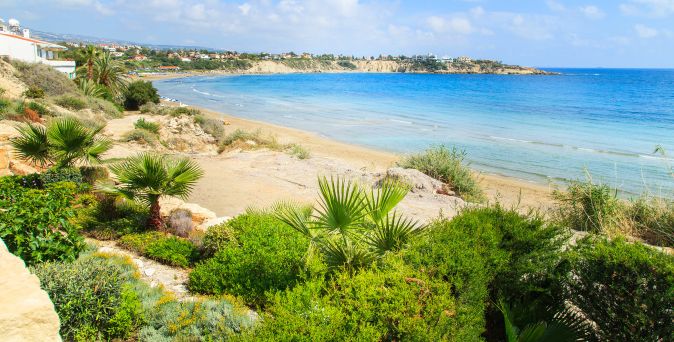 Korallenstrand in Paphos, Zypern, mit sandigem Ufer, klarem blauem Meer und Vegetation aus Palmen und Sträuchern im Vordergrund.