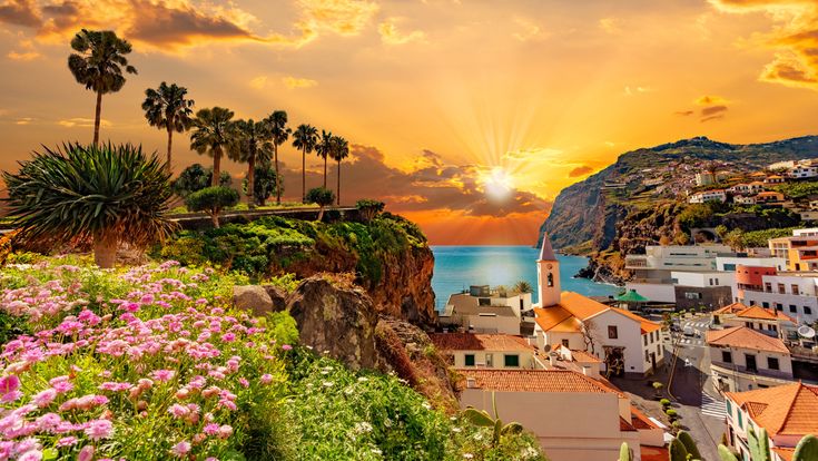 Küstenort Câmara de Lobos auf Madeira bei Sonnenuntergang mit Palmen, blühenden Blumenbeeten, einer Kirche, terrassenförmig angelegten Hängen und Blick auf den Atlantik