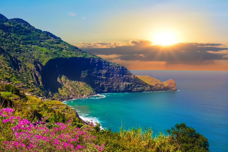 Bucht an der Küste Madeiras bei Sonnenuntergang mit steilen Klippen, türkisblauem Atlantik und blühenden Sträuchern im Vordergrund