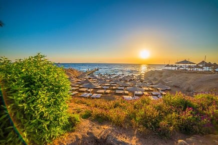 Strand von Sharm el-Sheikh in Ägypten mit türkisblauem Wasser des Roten Meeres, Palmen und bunten Blumen im Vordergrund sowie einem Holzsteg, der ins Meer führt