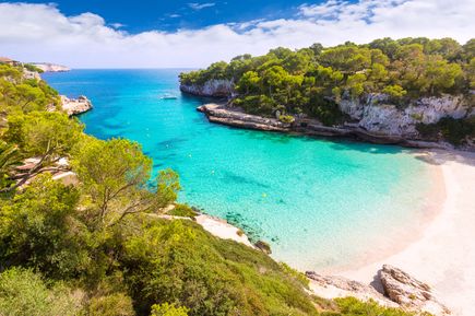 Bucht Cala Llombards auf Mallorca mit türkisblauem Wasser, hellem Sandstrand und Felsen, gesäumt von Pinien