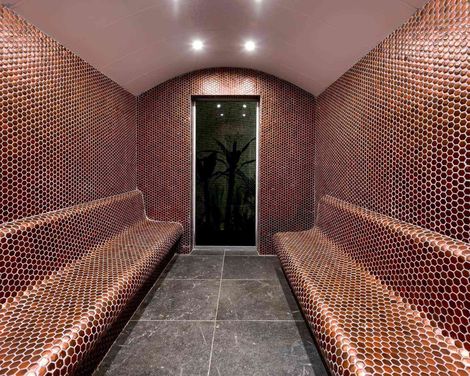 Calyptus Kirman Premium