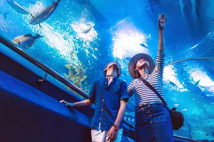 Frau und Kind betrachten Fische im Unterwassertunnel eines Aquariums, während über ihnen verschiedene Meeresbewohner schwimmen