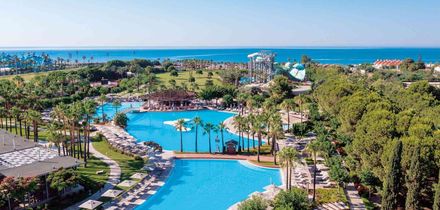 Lara Barut Collection