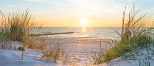 Blick durch Dünen und Strandhafer auf einen Sandstrand mit ruhigem Meer bei Sonnenuntergang