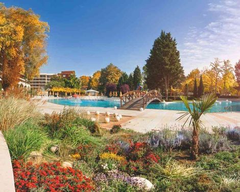 Flamingo Grand Hotel & Spa