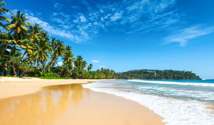 Palmenbestandener Sandstrand in Sri Lanka mit türkisblauem Meer, sanften Wellen und tropischer Küstenlandschaft
