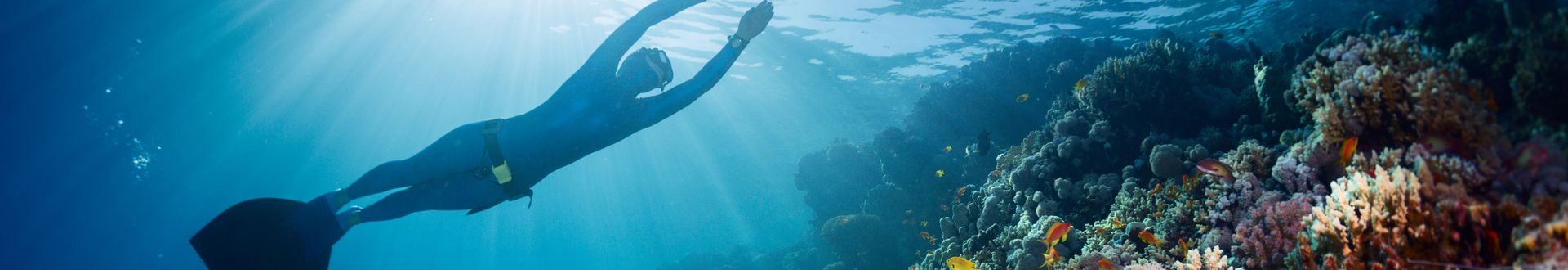 Taucher in Neoprenanzug schwimmt unter Wasser über einem farbenfrohen Korallenriff mit bunten Fischen, durch das Sonnenstrahlen ins Meer fallen