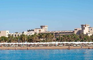 Crystal Tat Beach Pearl Collection