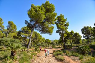 Familien beim Wandern auf einem Naturpfad, umgeben von Pinienbäumen, Sträuchern und blauem Himmel