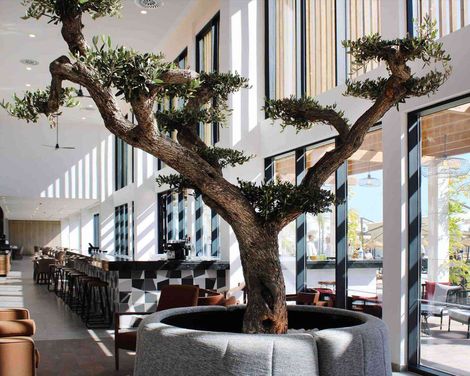 AP Cabanas Beach & Nature