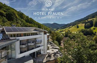 ElzLand Hotel Pfauen