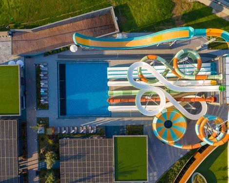 Calyptus Kirman Premium